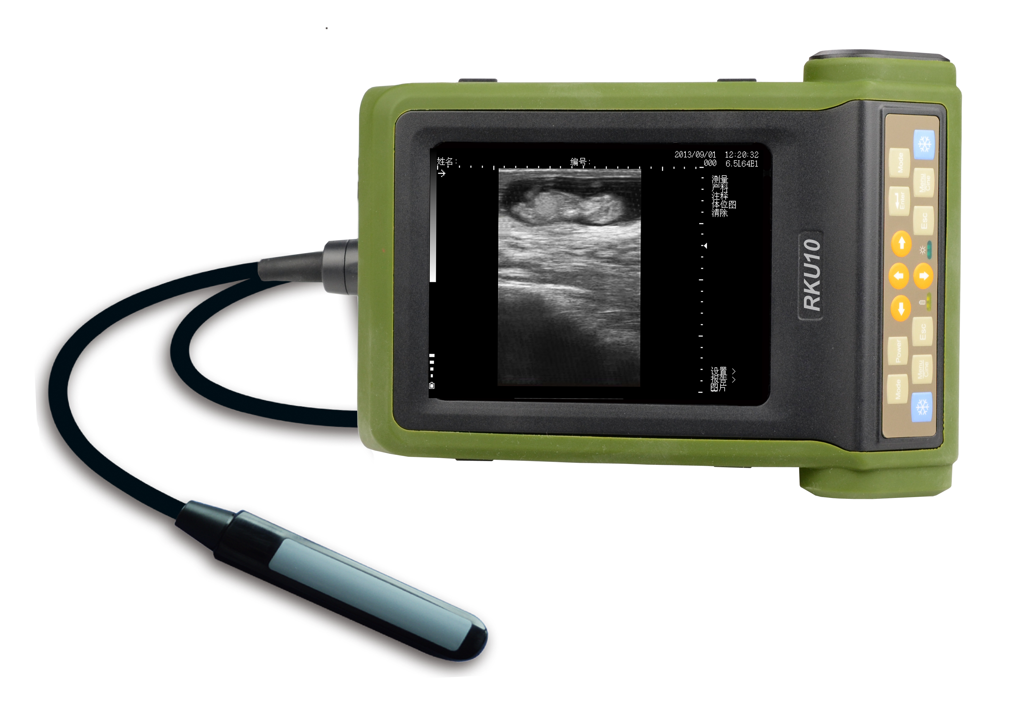 Portable Ultrasound Scanner Veterinary Pregnancy