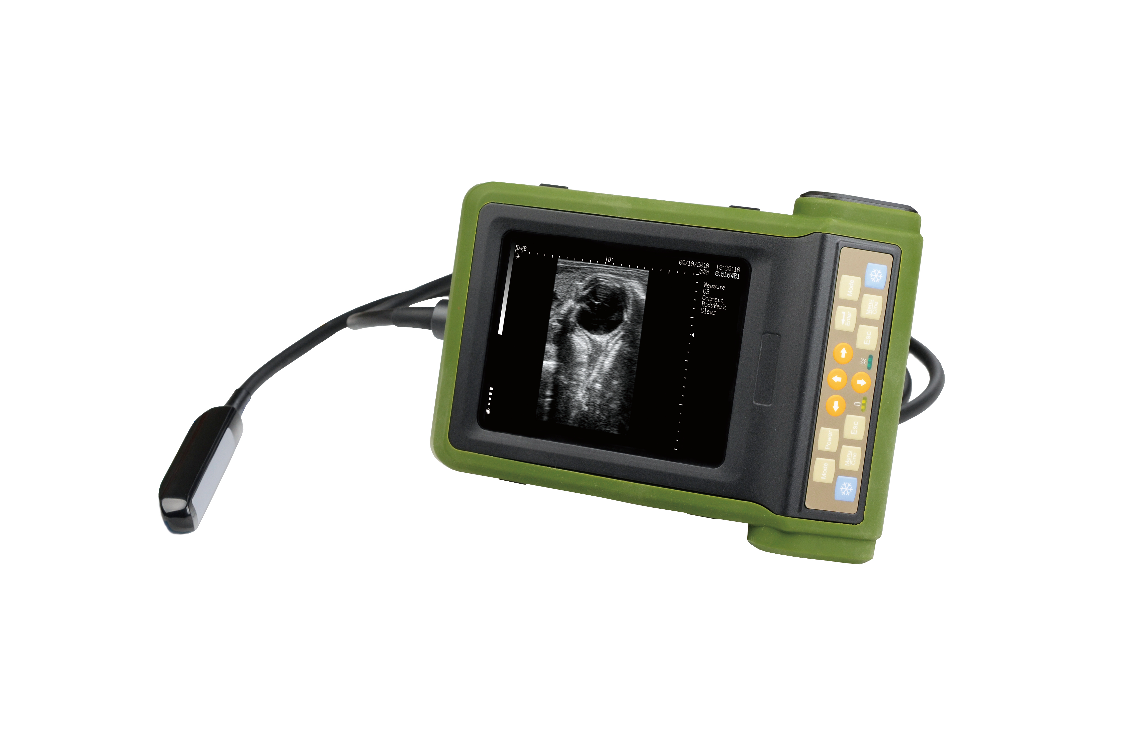 Portable Ultrasound Scanner Veterinary Pregnancy