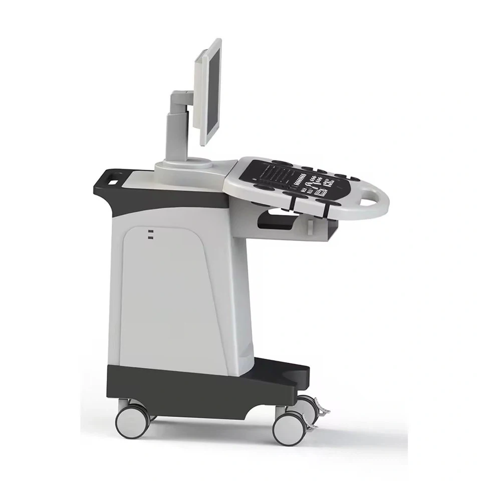 Cart-Mounted Color Doppler Ultrasound System
