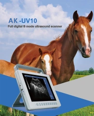 Equine Ultrasound Machine