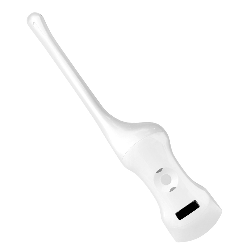 Dual-Probe Handheld Ultrasound Therapy Machine AK-D5CE