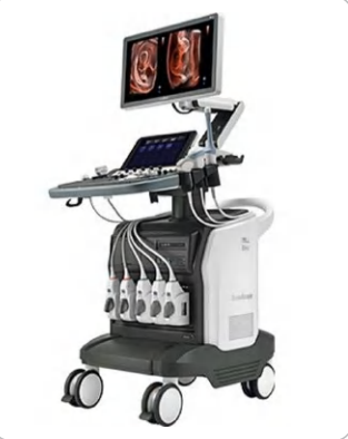 Elite Ultrasound System S50