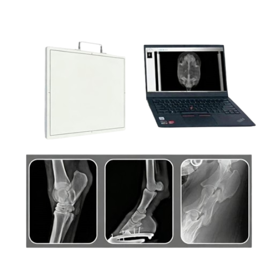 17x17 Inch Wireless Flat Panel Detector AKFPD-M1717V