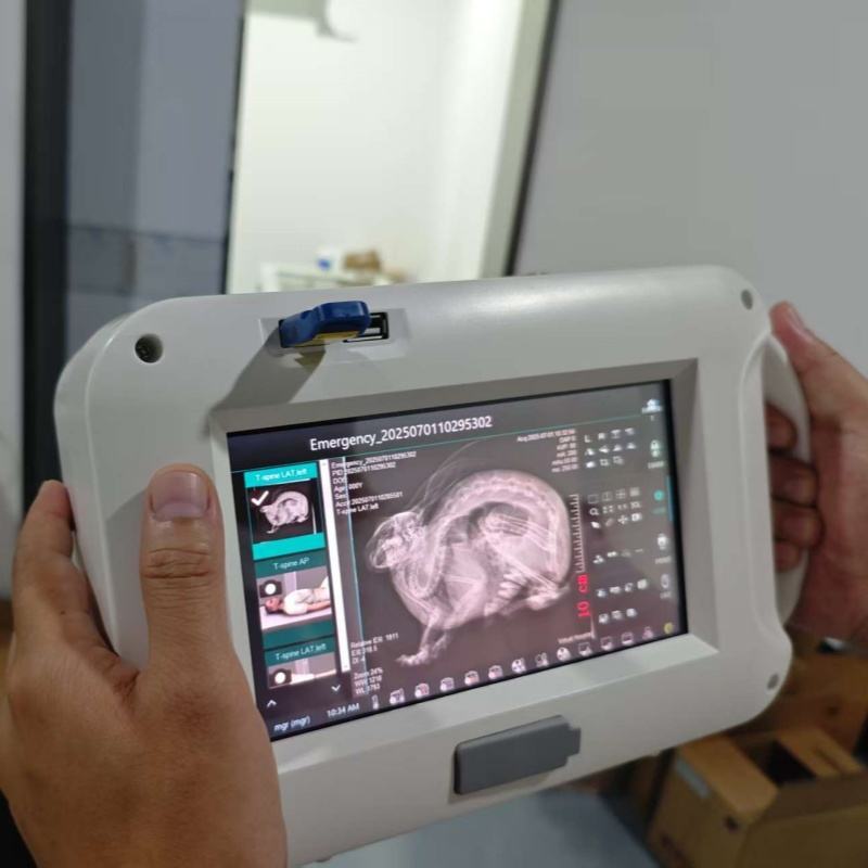 Handheld X-ray Machine AKX-Mini1