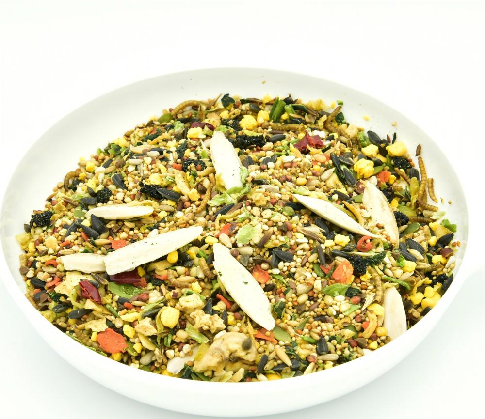Specialized Feed for Budgerigars (Parakeets)