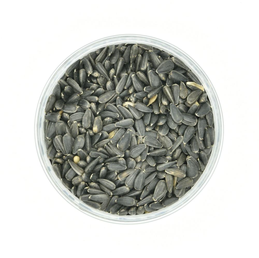 Natural Sunflower Seeds (for Hamsters)