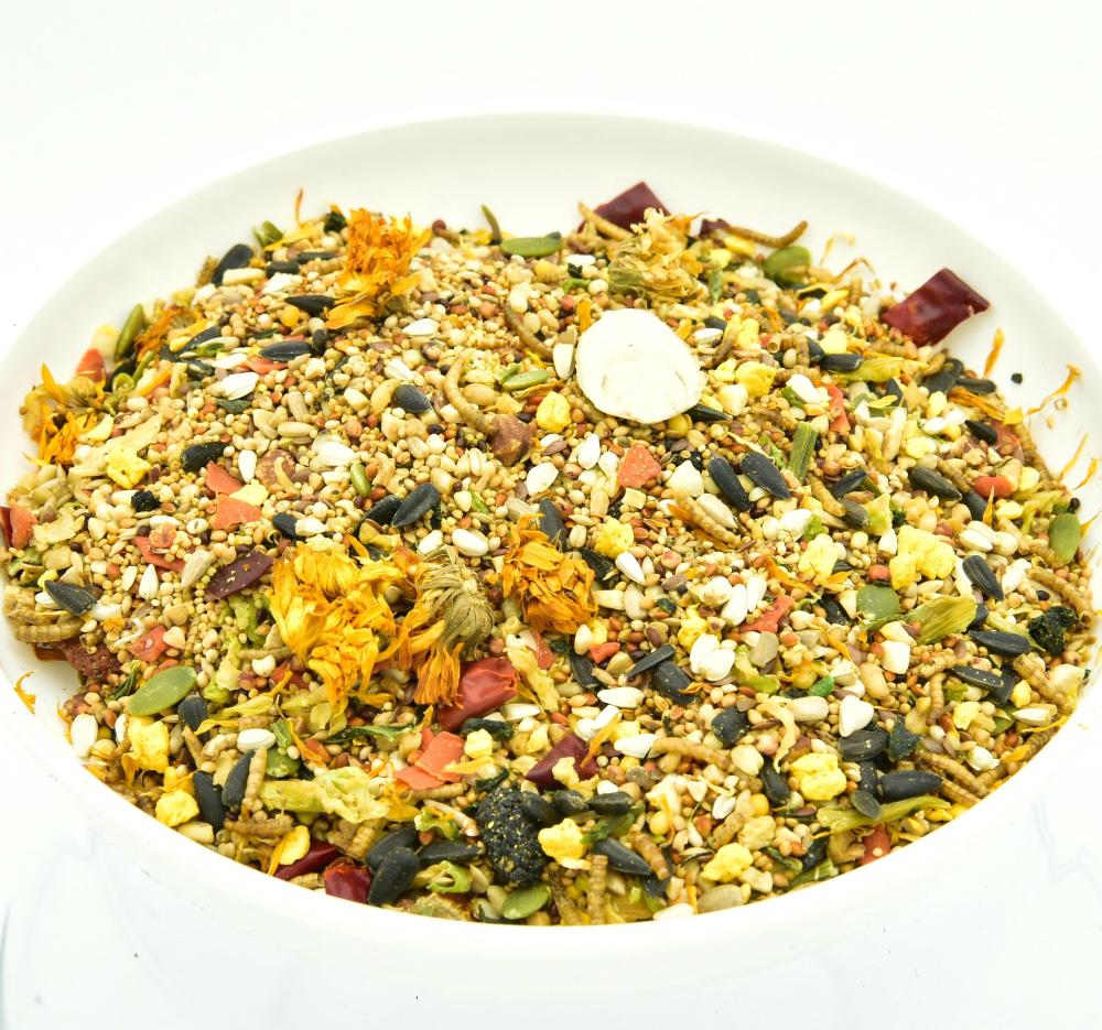 Parrot Freeze-Dried Seed Mix