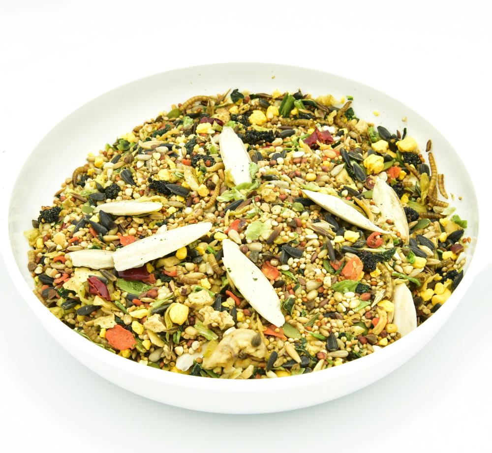 Specialized Feed（for Sun Parakeets）