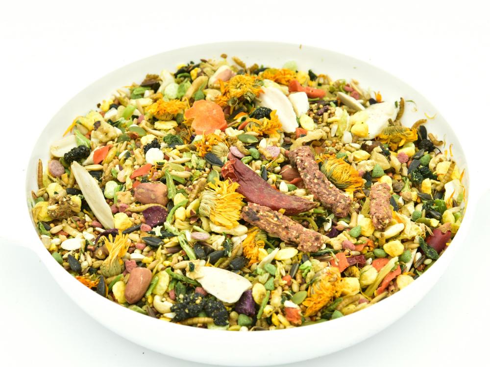 Specialized Feed for Quaker Parrots (Monk Parakeets)