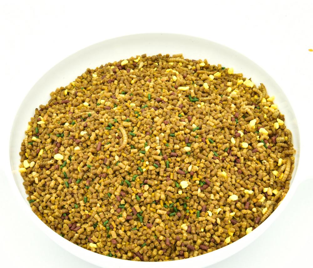 Starling Nutrition Feed