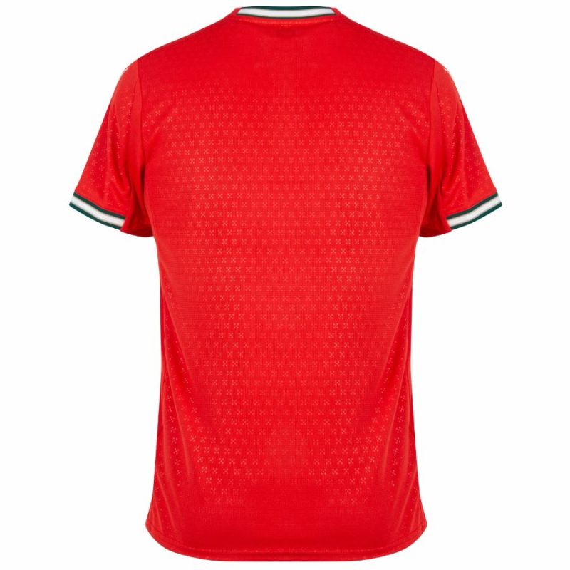 【 PLAYER 】PORTUGAL WORLD CUP HOME JERSEY 2025 2026