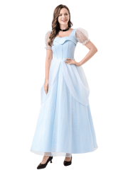 Women's Disney Elegant Cinderella Dress