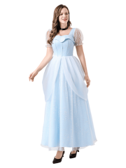 Women's Disney Elegant Cinderella Dress