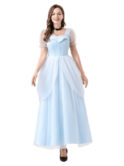 Women's Disney Elegant Cinderella Dress