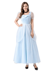 Women's Disney Elegant Cinderella Dress