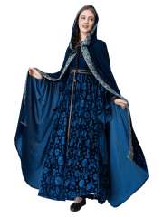 Women's The Lord of the Rings Arwen Elegant Elf Princess Costume