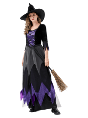 Adult Women's Black Purple Velvet Witch Costume