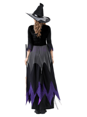 Adult Women's Black Purple Velvet Witch Costume
