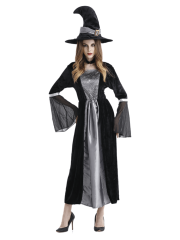 Adult Women's Black Silver Velvet Witch Costume