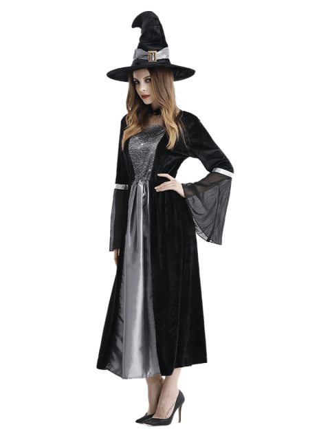 Adult Women's Black Silver Velvet Witch Costume