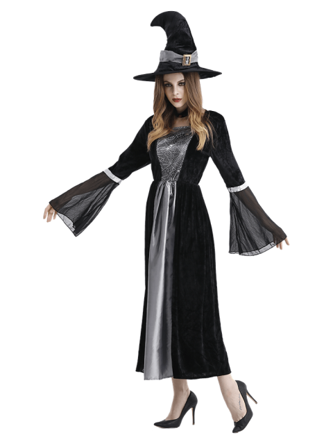 Adult Women's Black Silver Velvet Witch Costume
