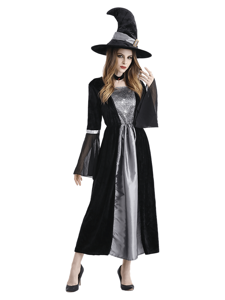 Adult Women's Black Silver Velvet Witch Costume