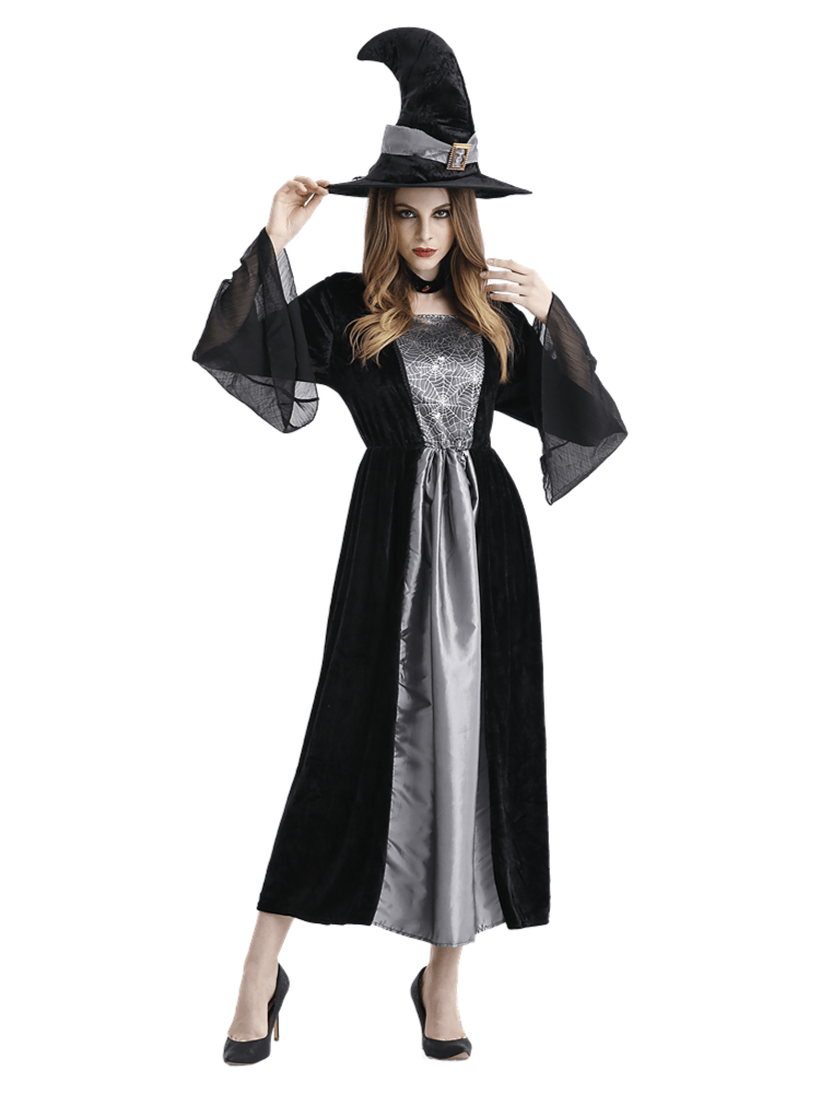Adult Women's Black Silver Velvet Witch Costume