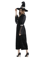Adult Women's Black Silver Velvet Witch Costume