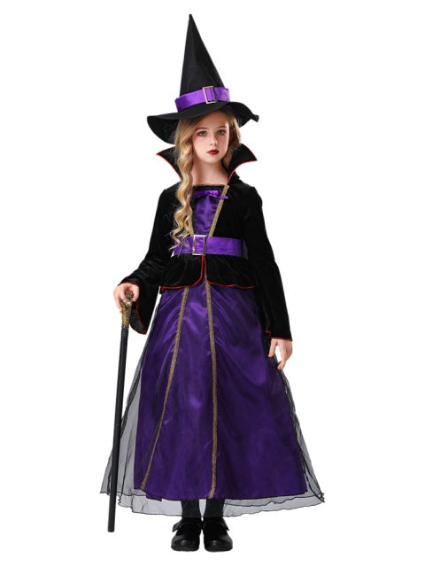 Girls Purple Black Velvet Witch Dress Costume