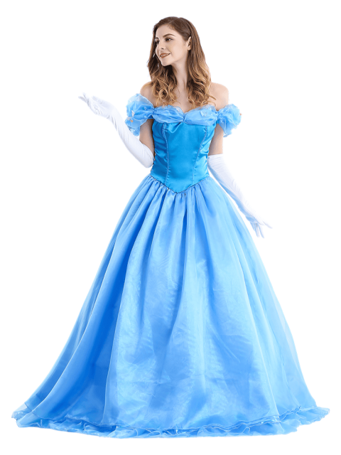 Women's Disney Enchanting Princess Cinderella Costume