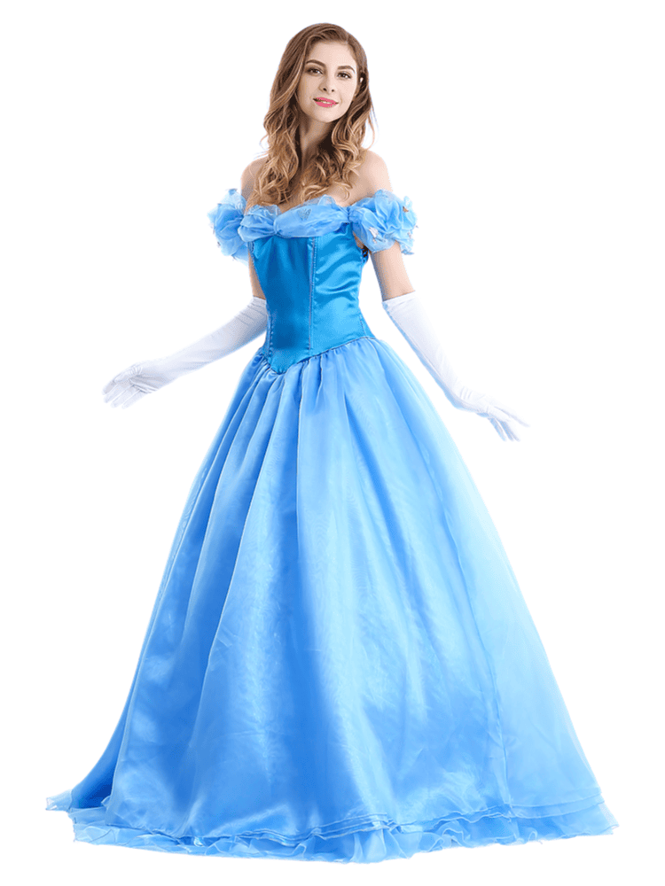 Women's Disney Enchanting Princess Cinderella Costume