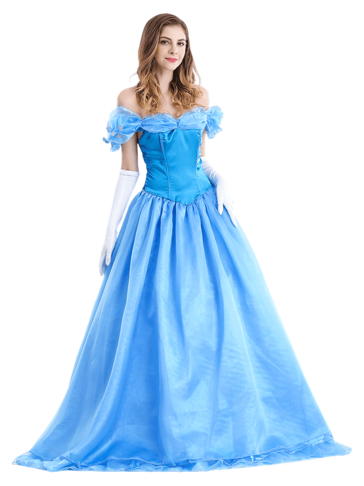 Women's Disney Enchanting Princess Cinderella Costume