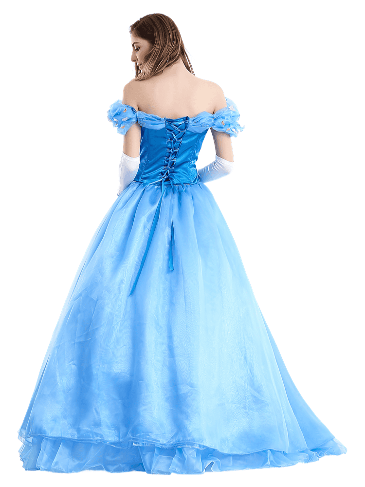 Women's Disney Enchanting Princess Cinderella Costume