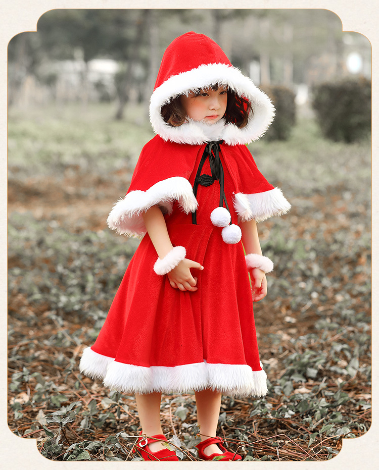 Holiday Dress Costume
