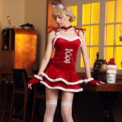 Sexy Cat Santa Costume for Women – Wholesale Christmas Outfit