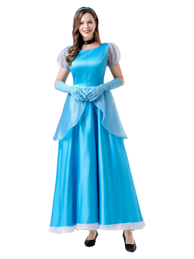 Cinderella Costume