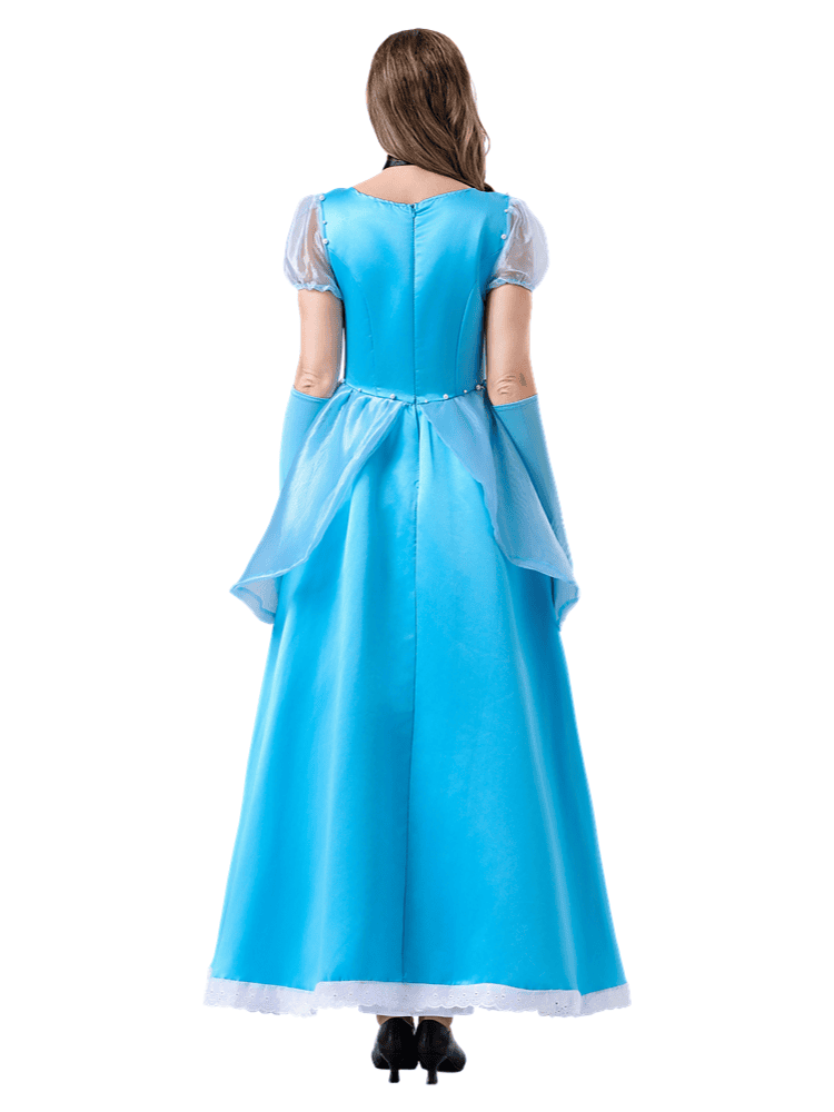 Cinderella Costume