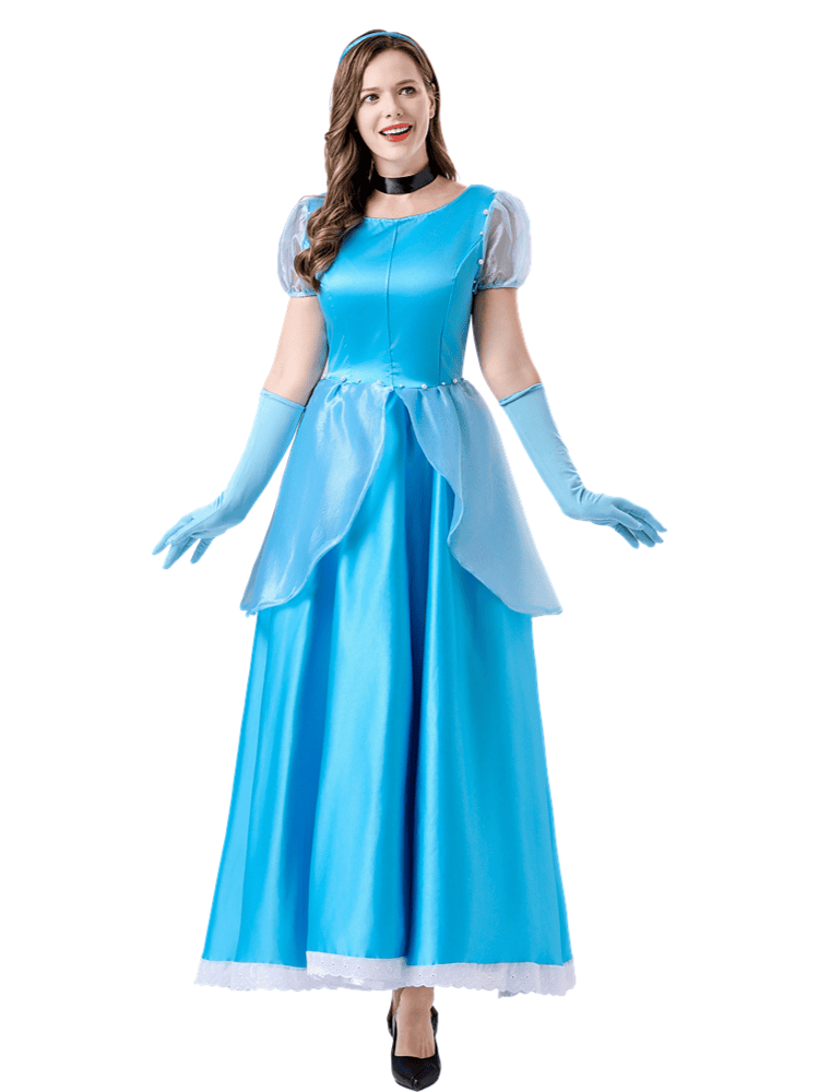 Cinderella Costume