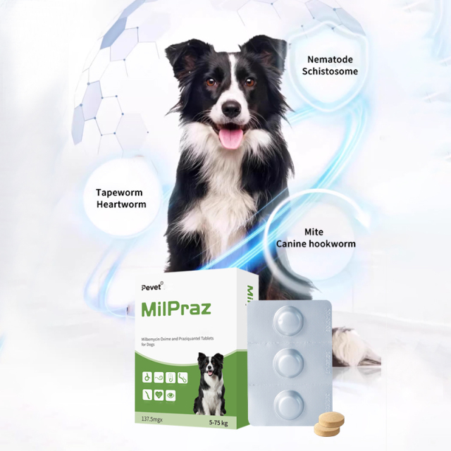 Milbemycin Oxime and Praziquantel Tablets for Dogs,Milbemycin Oxime and Praziquantel Tablets for Dogs,Pevet