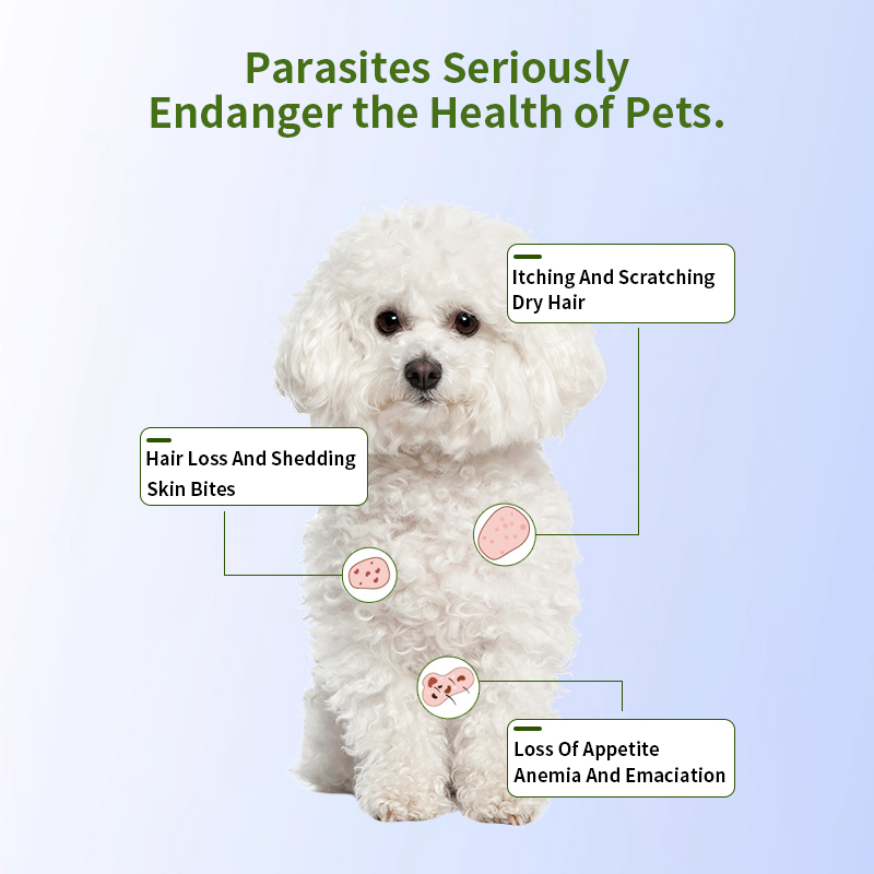 lmidacloprid and moxidectin spot on solutions for dogs,lmidacloprid and moxidectinspot on solutions for dogs,Pevet