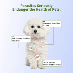 lmidacloprid and moxidectin spot on solutions for dogs,lmidacloprid and moxidectinspot on solutions for dogs,Pevet