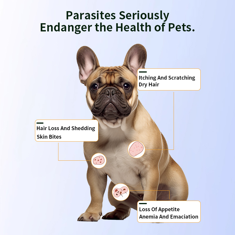 Pet dewormer with lmidacloprid and Moxidectin for dogs,Pet dewormer with lmidacloprid and Moxilmidacloprid for dogs,Pevet