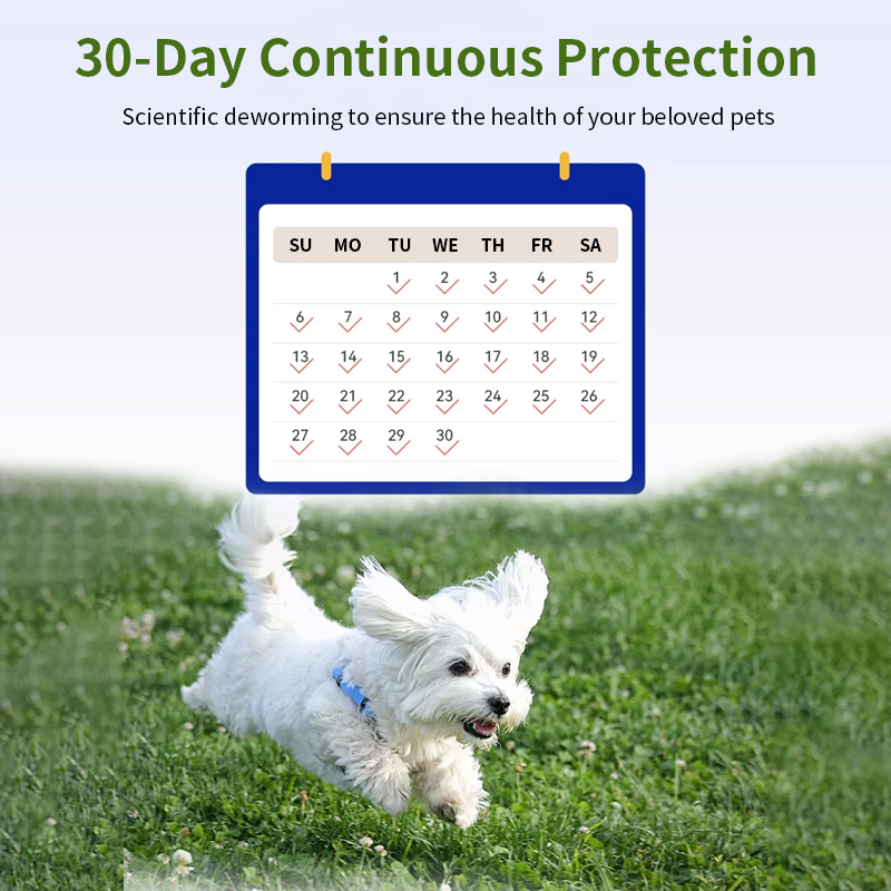 lmidacloprid and moxidectin spot on solutions for dogs,lmidacloprid and moxidectinspot on solutions for dogs,Pevet