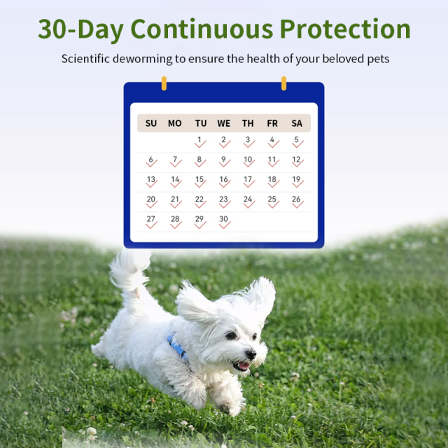 lmidacloprid and moxidectin spot on solutions for dogs,lmidacloprid and moxidectinspot on solutions for dogs,Pevet