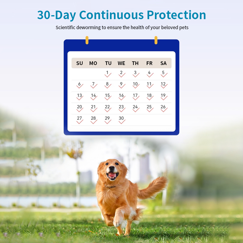 Veterinary Medicine Drug Pet dewormer with lmidacloprid and Moxidectin for dogs,Veterinary Medicine Drug Pet dewormer with lmidacloprid and Moxilmidacloprid for dogs,Pevet