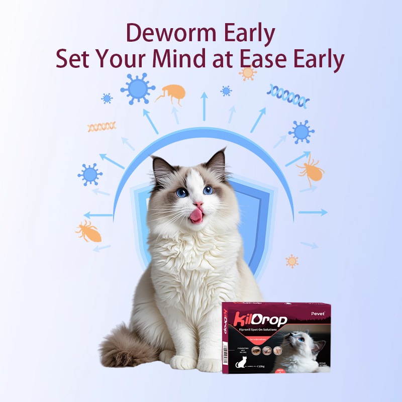 Easy to administer Spreads through Sebum Fipronil Spot On Solutions suitable for cats with a weight of less than 10kg,Spreads through Sebum Fipronil Spot On Solutions,Pevet