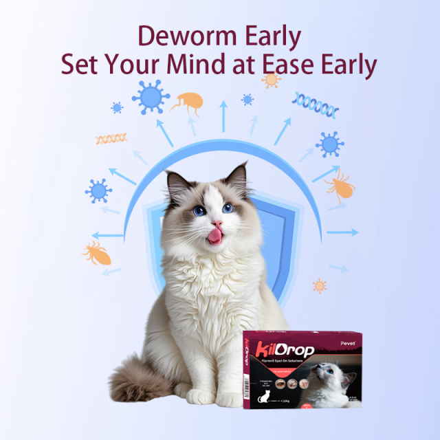 Easy to administer Spreads through Sebum Fipronil Spot On Solutions suitable for cats with a weight of less than 10kg,Spreads through Sebum Fipronil Spot On Solutions,Pevet