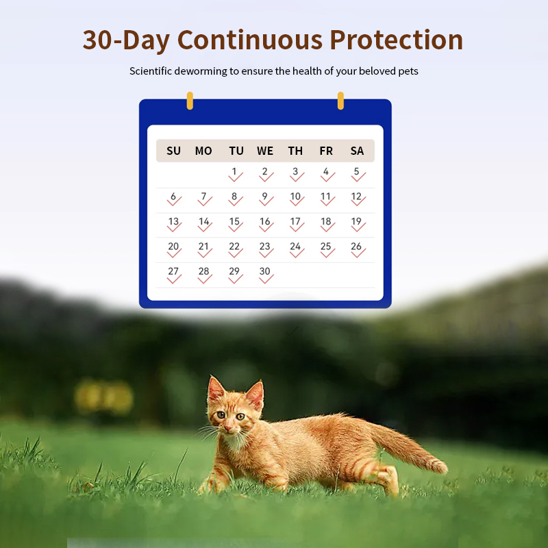 lmidacloprid and Moxidectin Spot-on solutions for cats,Easy to administer lmidacloprid and Moxidectin Spot-on solutions for cats,Pevet