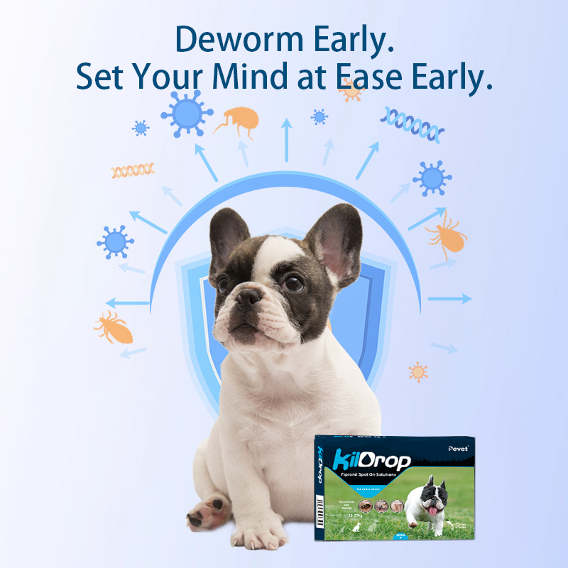Factory OEM Pet Dewormer Fipronil Spot on Solutions for Dogs with a Weight of 10 to 20kg,Spreads through Sebum Fipronil Spot On Solutions for dog with a weight less than 10kg,Pevet