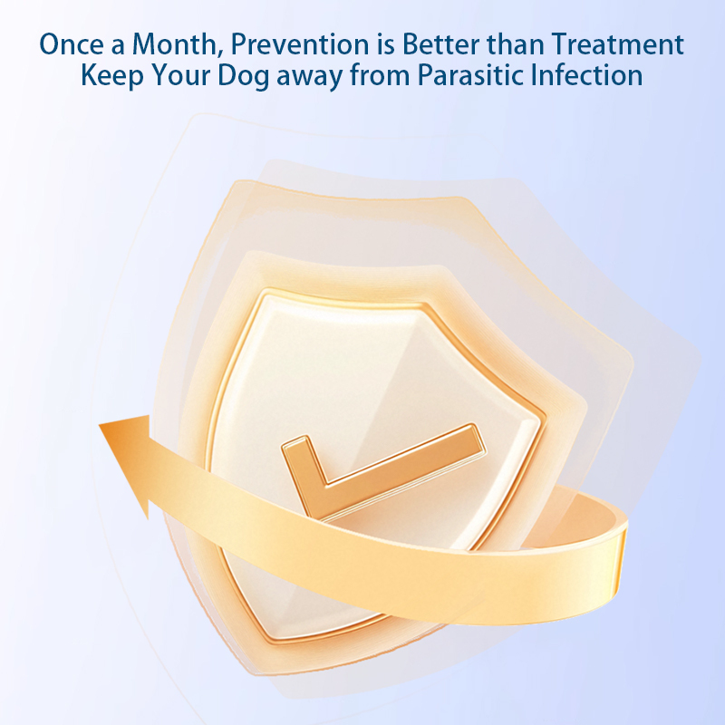 Fipronil Spot on Solutions Pet Dewormer Suitable for Dogs with a Weight Less Than 10kg,Fipronil Spot on Solutions Pet Dewormer Suitable for Dogs with a Weight Less Than 10kg,Pevet